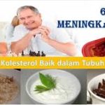 Cara Mudah  Meningkatkan Kolesterol Baik (HDL)