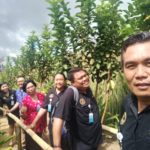 Desa Wisata  Herbal Catur, Solusi Peningkatan Kesejahteraan Warga