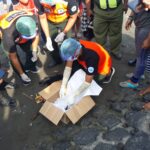 Cari Uang Kepeng, Dua Siswa SD Temukan Orok Membusuk di Pantai Matahari Terbit