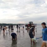 Musim Barat,Tiap Hari Sampah Kiriman Serbu Pantai Kuta