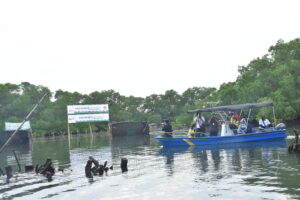 Bersih Sampah di Mangrove dan Estuari Dam