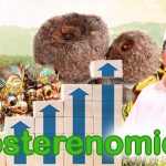 Kosterenomics