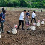 Jokowi Dorong Pemanfaatan Teknologi Sistem Pertanian di NTT