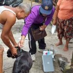 Petugas sedang vaksin anjing di wilayah Buleleng untuk cegah rabies