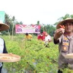 Kapolres Badung AKBP Leo Dedy Defretes, S.I.K., S.H., M.H., mamanen cabe program Polisi Bersemi