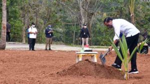 Presiden Joko Widodo melakukan penanaman kelapa genjah di Dukuh Samin, Desa Sanggang, Kecamatan Bulu, Kabupaten Sukoharjo, dalam kunjungan kerjanya ke Provinsi Jawa Tengah, pada Kamis, 11 Agustus 2022.