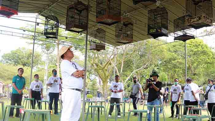 lomba burung bupati jembrana cup