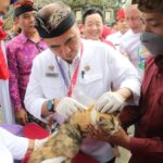 Vaksinasi Anjing di hari rabies di Tabanan, Jumat (30/9/2022).