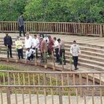 Presiden Joko Widodo mengecek Tahura Mangrove Ngurah Rai Bali