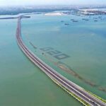 Dari bibit mangrove untuk tuisan G20 di samping jalan tol Bali Mandara.