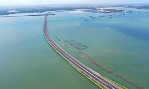 Dari bibit mangrove untuk tuisan G20 di samping jalan tol Bali Mandara.