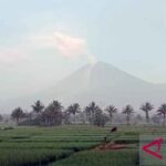 Gunung Semeru masih mengalami erupsi yang terlihat dari Desa Sumberwuluh, Kecamatan Candipuro, Kabupaten Lumajang, Senin, 5 Desember 2022.