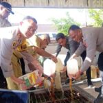 Pemusnahan minuman tradisional jenis sopi di depan Mapolresta Pulau Ambon. Disaksikan Kapolresta dan penjabat Wali Kota Amb