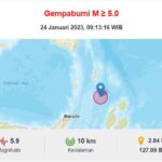 info gempa dari BMKG