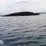 Fenomena munculnya pulau baru pasca gempa di Desa Teinema, Kecamatan Wuar Labobar, Kabupaten Kepulauan Tanimbar.