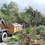 Angin Kencang Disertai Hujan, Pohon Tumbang di Lateri Akibatkan Jalan Poka dan Rumahtiga Macet Total