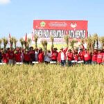 Pemkab Tabanan Buka Acara Panen Padi Nusantara 1 Juta Hektar di Subak Bengkel