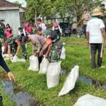 Bupati dan Dandim Klungkung Wujudkan Pertanian Organik