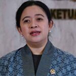 Pemerintah Harus Cari Solusi Strategis Mengatasi KKB