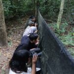 Beberapa wisatawan tengah menikmati sensasi "Birdwatching" di Taman Wisata Alam Kerandangan Lombok, Minggu (18/6/2023). (Foto: Kemenparekraf)