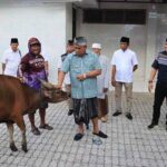 Bupati Jembrana I Nengah Tamba didampingi Wabup I GDN Patriana Krisna menyerahkan hewan qurban kepada umat muslim di Jembrana