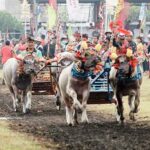 Gelaran Makepung Kapolres Cup Jembrana di sirkuit Mekepung Delodberawah, Mendoyo, Minggu (11/6/2023). (Foto: M-011)