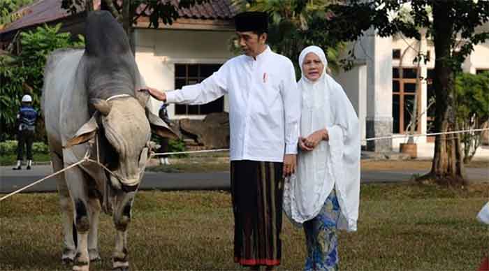 Presiden Jokowi bersama Ibu Negara Iriana Jokowi Widodo. (Foto: merdeka.com)