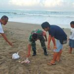 Geger! Orok Bayi Ditemukan di Pesisir Pantai Legian