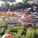 Sawah Kakung Magelang, Berpadunya Keindahan Alam dan Agrowisata Penopang Kemandirian Pangan