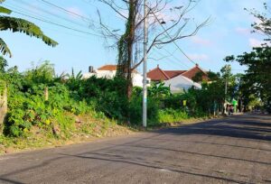 Kawasan Hunian di Jalan Badak Agung Denpasar