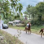 Rombongan Menparekraf diiringi oleh kuda Sumba atau yang dikenal dengan nama sandalwood pony saat tiba di Desa Wisata Tebara, Nusa Tenggara Timur, Minggu (13/8/2023).