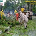 Lokasi tumbangnya pohon didepan Hotel Amans, akibat hujan deras disertai angin kencang