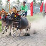 Workshop Tradisi dan Lomba Mekepung Digelar di Jembrana