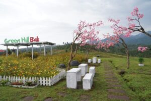 BALI AGRO