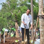 Tanam Pohon Serentak, Presiden Jokowi Tegaskan Langkah Nyata Atasi Perubahan Iklim