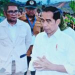 Pembangunan IKN Terus Dikebut, Jokowi Apresiasi Pembangunan Hotel Bintang Tiga dan Restoran Pertama ...