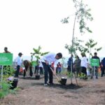 Penghijauan IKN, Untuk Bangun Hutan Hujan Tropis Yang Beragam