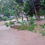 Tiga Desa di Sekotong Kembali Diterjang Banjir, Begini Kondisinya