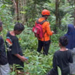 Nenek 80 Tahun Hilang di Hutan Dusun Wanat, Belum Ditemukan 