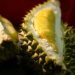 Pewarna pada durian makin marak