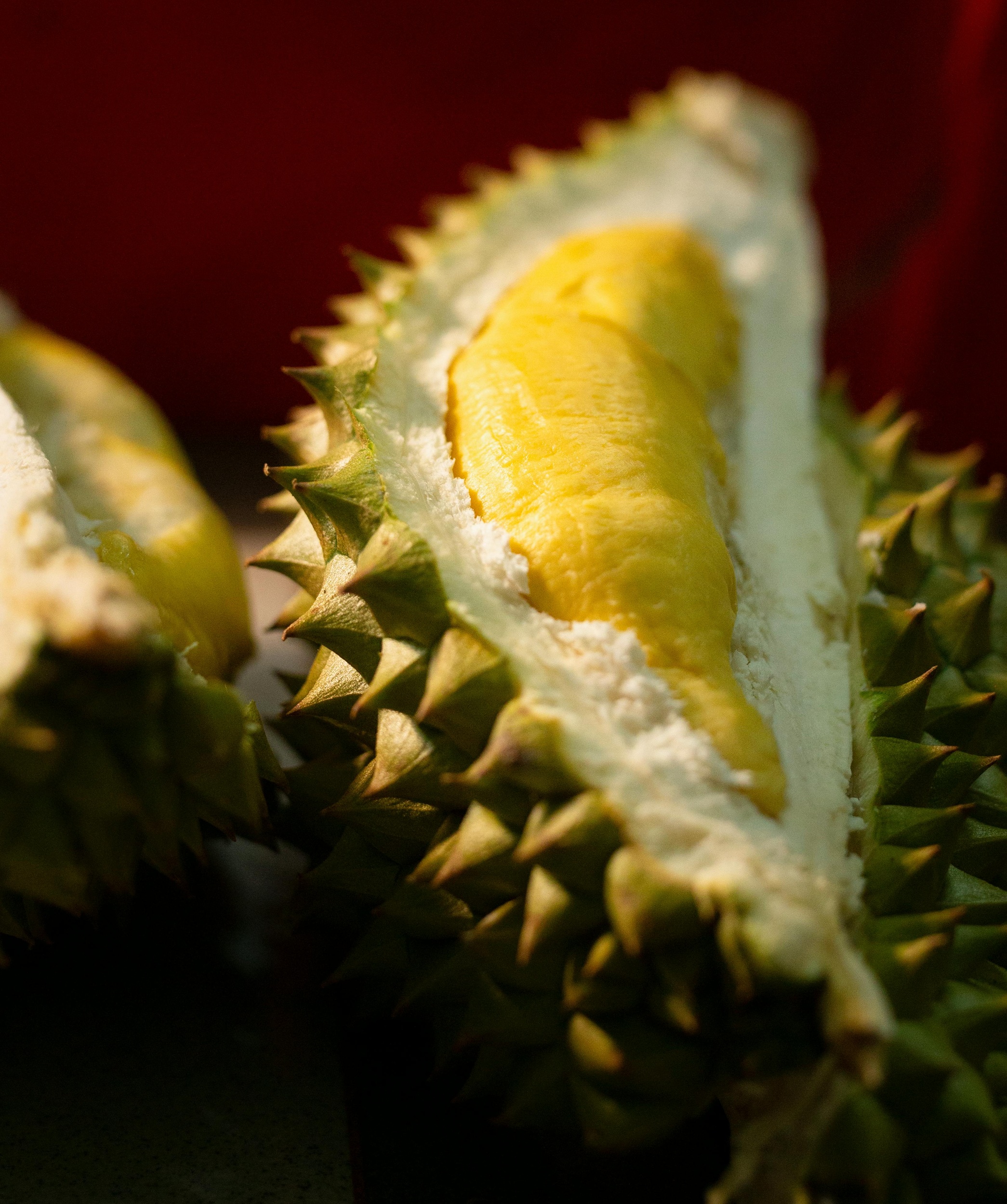 Pewarna pada durian makin marak