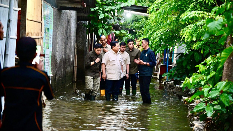 presiden prabowo tinjau banjir